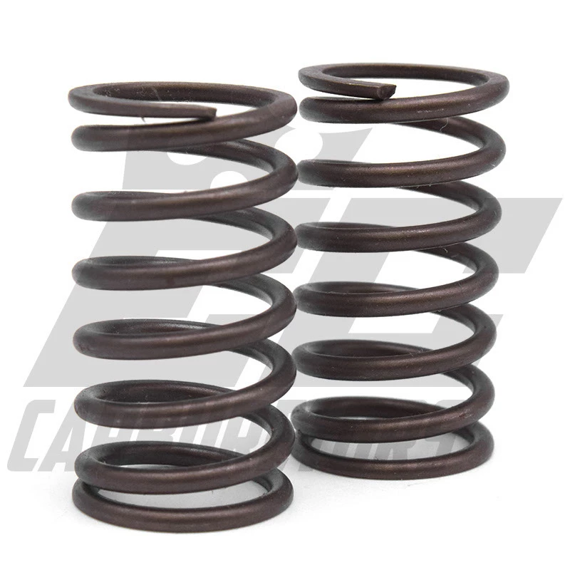 EC Carburetors Valve Springs 1 EC Carburetors Valve Springs