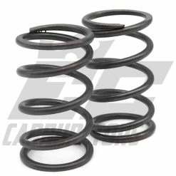 EC Carburetors Briggs V-Twin Single Spring