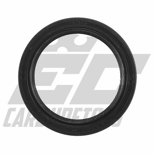 EC Carburetors Briggs Model Intek V-Twin Oil Seal - PTO Side 1 EC Carburetors Briggs Model Intek V-Twin Oil Seal - PTO Side